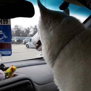 Meet your Posher, Billie